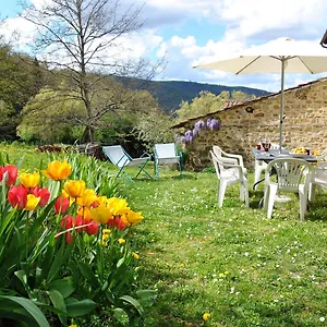 Ferienhaus Casa Al Miglio, Pratolino